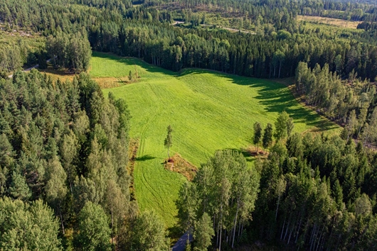 Gods och gårdar i Långsta, Grums, Värmland, Obebyggd tomt i Långsta - Grum