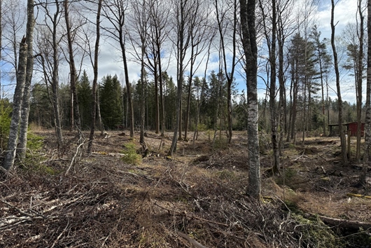 Tomt i Rudskogen, Karlstad, Värmland, Grava-Rud 888