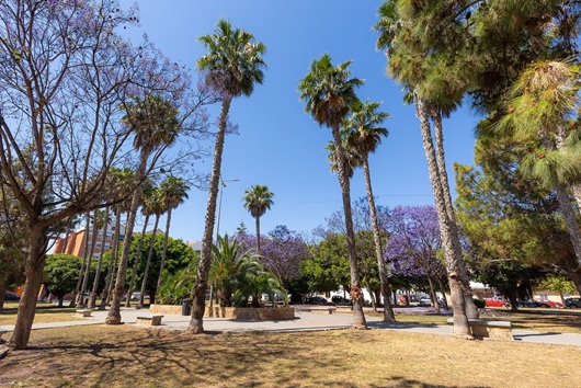 Ägarlägenhet i Torrevieja, Comunitat valenciana, El baix segura / la vega baja, El Acequión - Torrevieja
