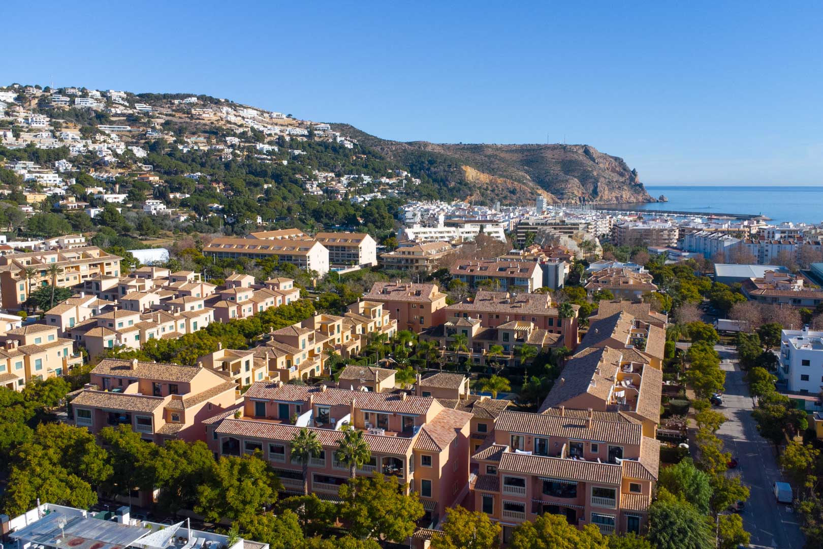 29