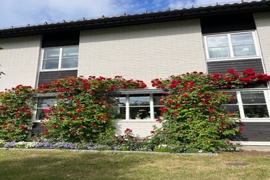 Radhus i Teg, Umeå, Västerbotten, Kronovägen 16A