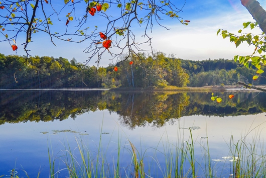Gods och gårdar i Halland, Vessigebro, Falkenberg, Sjösgärde 120, 130