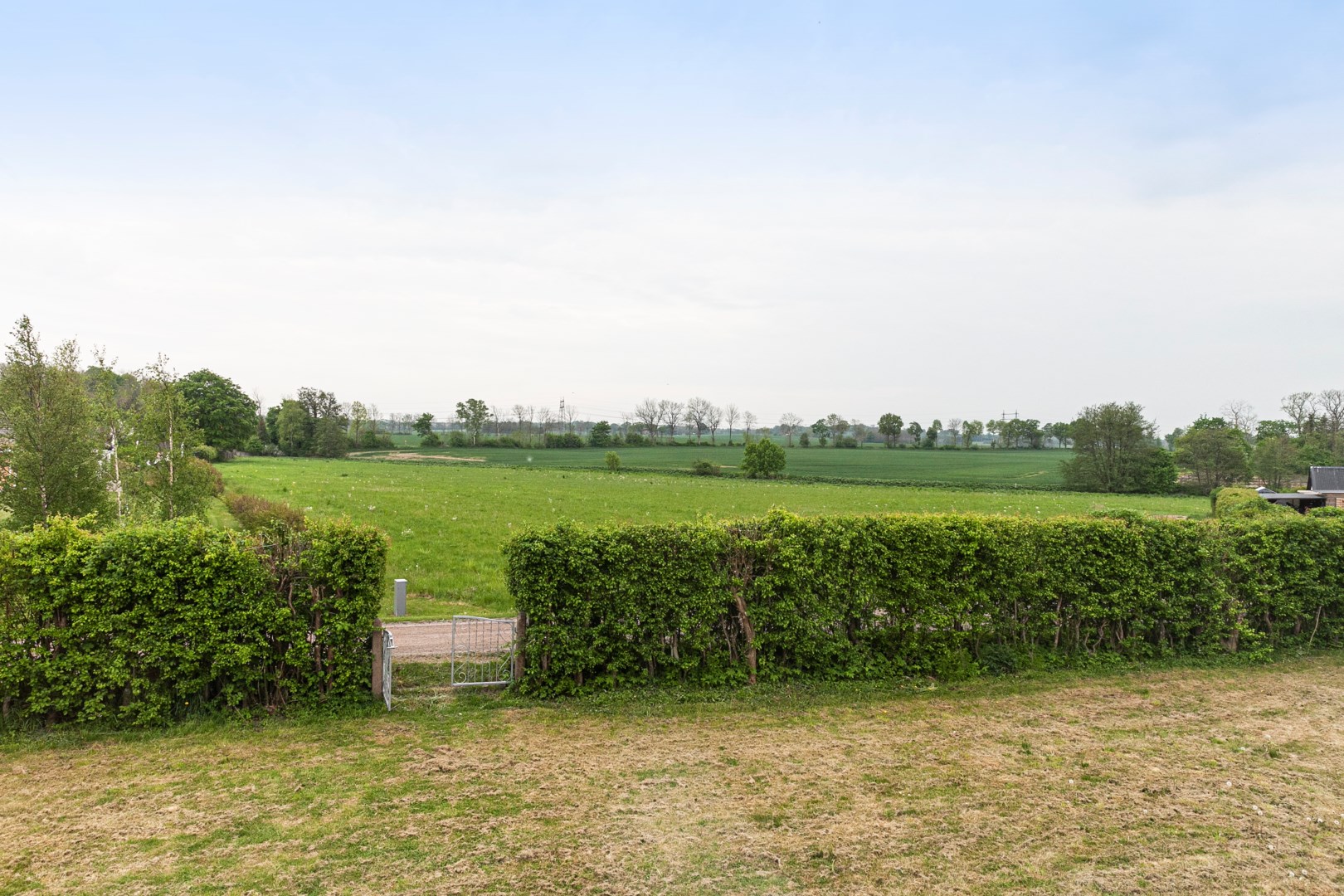 31