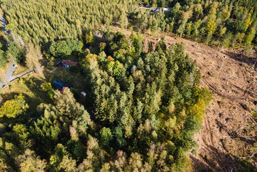 Tomt i Osby, Skåne, null