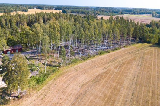 Tomt i Stigtomta, Södermanland, Nyköping, Tomter Stigtomta-bjö