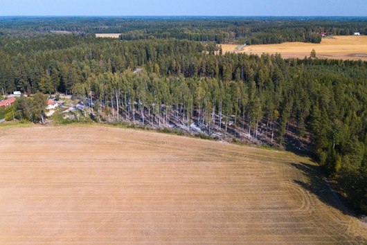 Tomt i Stigtomta, Södermanland, Nyköping, Tomter Stigtomta-björka 1:4