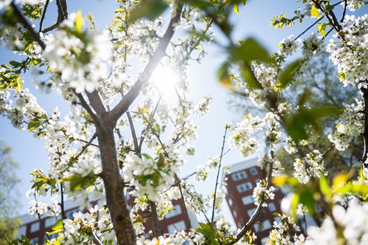 Bostadsrätt i Nacksta, Sundsvall, Västernorrland, Nackstavägen 50C