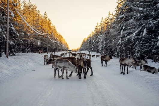Bostadsrätt i Idre, Dalarna, Älvdalen, Orrstigen 37