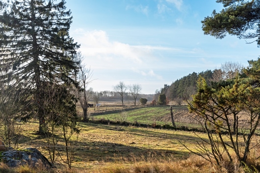 Tomt i Sibbarp, Halland, Varberg, null