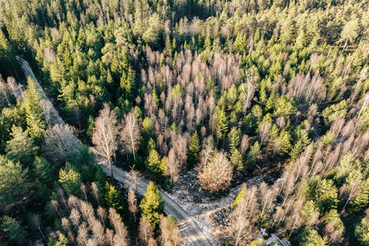 Tomt i Hemsjö, ALINGSÅS, Västra Götaland, Alingsås, Svante Påhls väg x