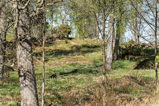 Tomt i Hol, Alingsås, Västra Götaland, Vårgårda, Tomt 1-5 med adress Dalbogårde