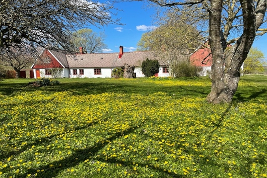Övriga hus i Hjälmaröd nära Kivik &, Skåne, Simrishamn, Hjälmarödsvägen 19