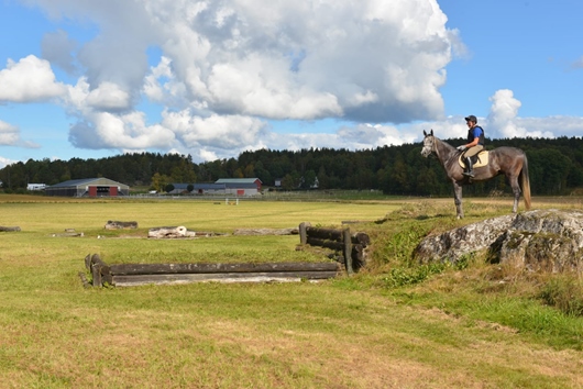 Gods och gårdar i Skee, Strömstad, Västra Götaland, Mardal Norgård 1