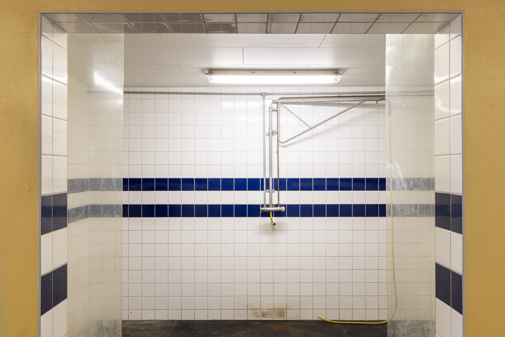 45