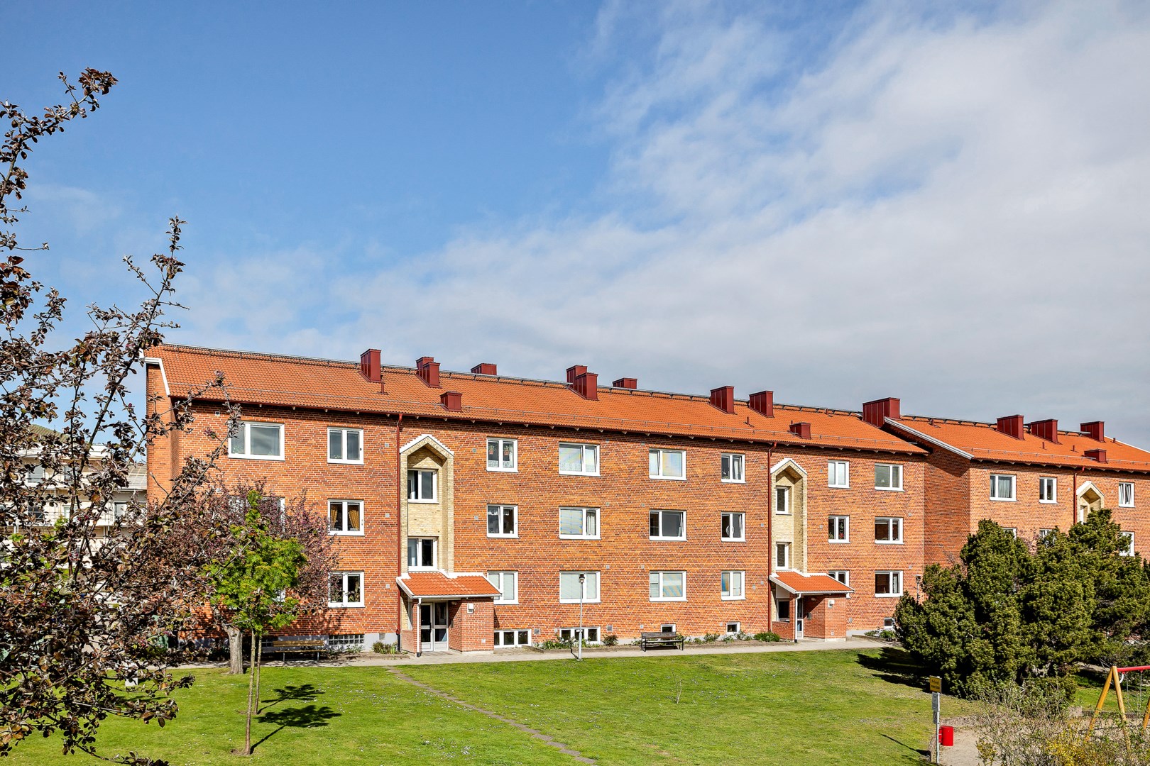 26