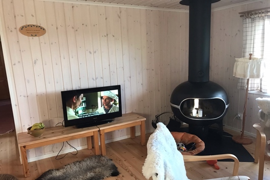 Fritidshus i Funäsdalen - Tännäs, TÄNNÄS, Jämtland, Härjedalen, Brf.Fjällbyn Torpvägen 8. Veck