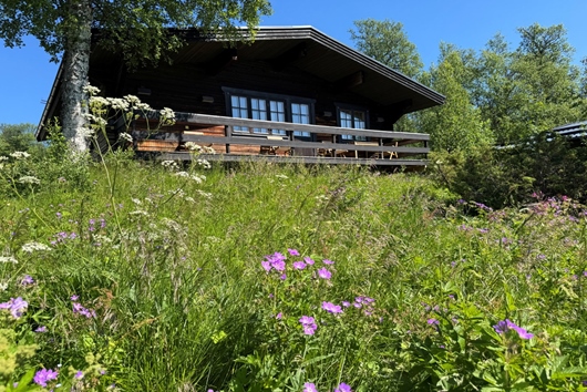 Fritidshus i Tänndalen, TÄNNDALEN, Jämtland, Härjedalen, Brf.Fjällsätern vecka 34