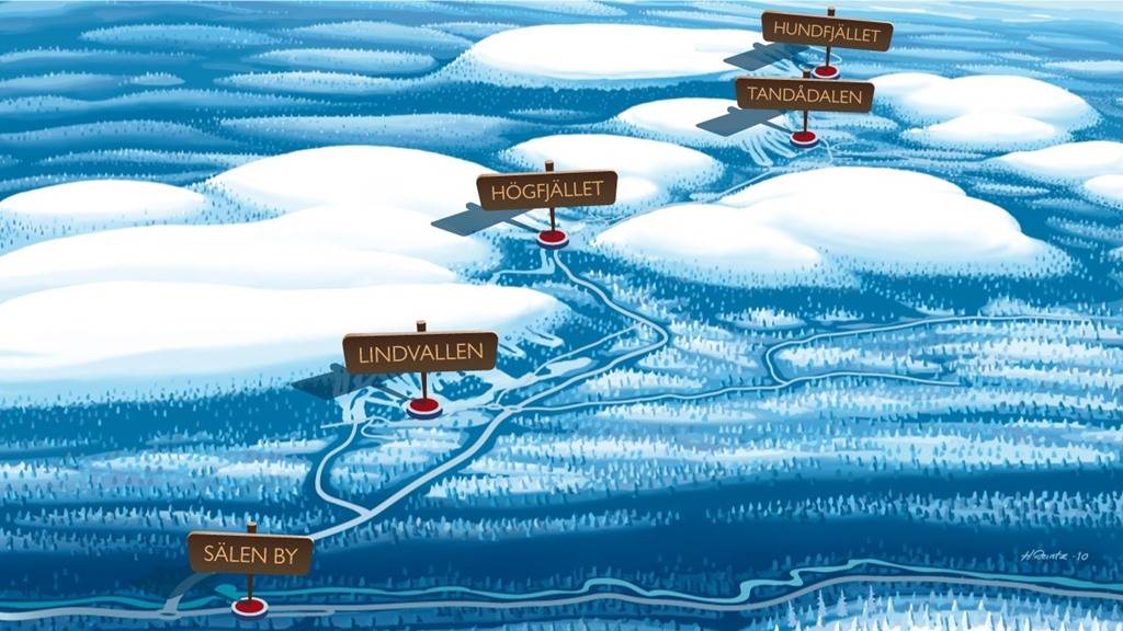 23
