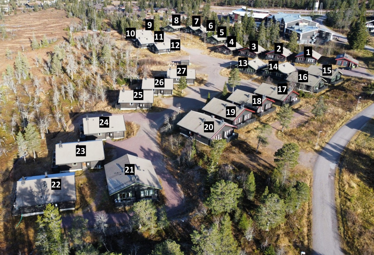 29