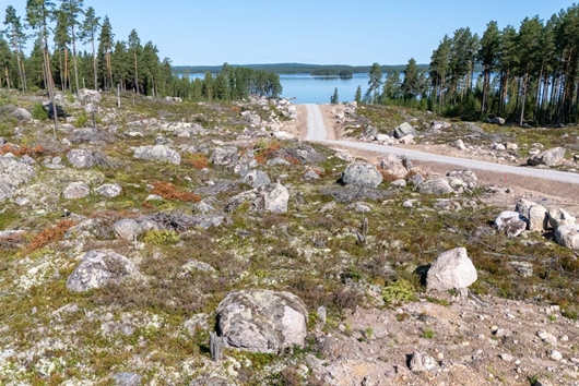 Tomt i Blecket, Rättvik, Dalarna, Ljugaruddsvägen 1-2-3-4