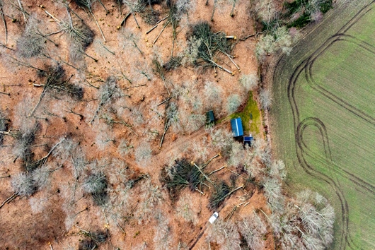 Tomt i Hovs Hallar, BÅSTAD, Skåne, Båstad, Ingelstorpsvägen 194