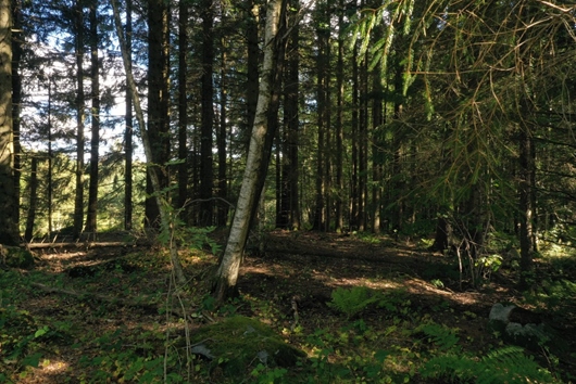 Tomt i Tahult, Landvetter, Västra Götaland, Härryda, Uppegårdsvägen - Tom