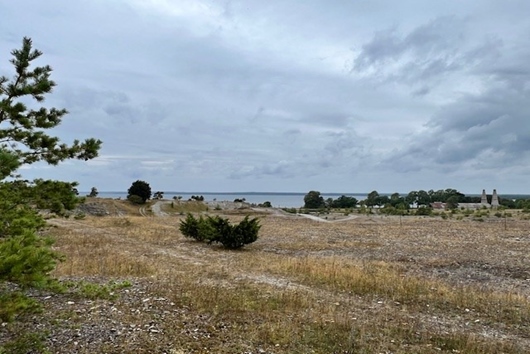Tomt i Gotland, Bungenäs - Fårösund, Höga land 16
