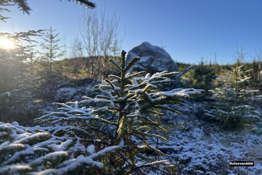 Gods och gårdar i Värmland, Sunne, Lysvik, Skäggegård 1:91
