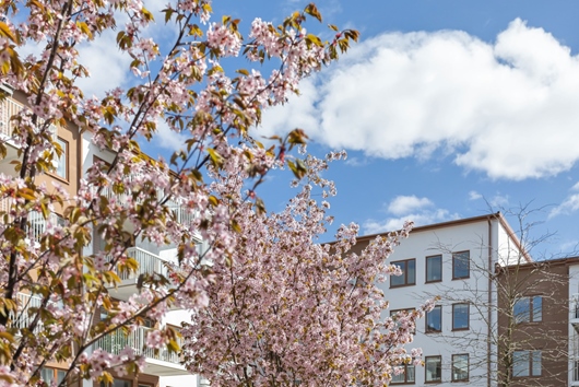 Bostadsrätt i Kapellgärdet, Uppsala, Torngatan 3