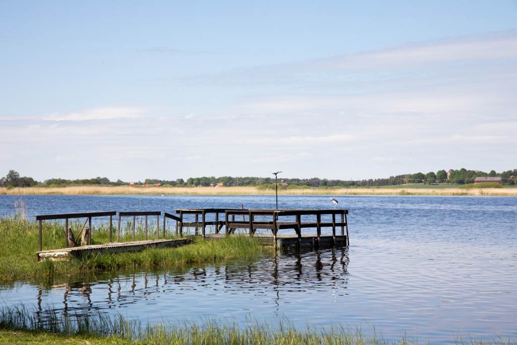 47