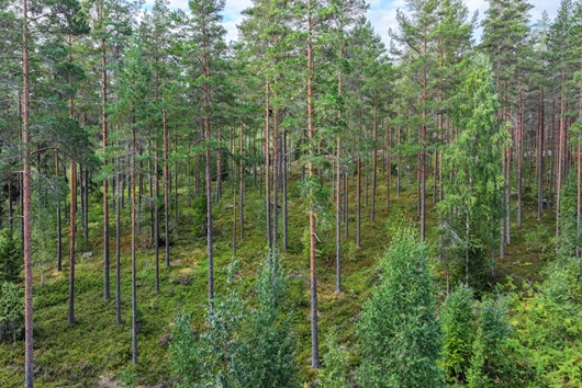Gods och gårdar i Unknown, Dalarna, Avesta, null