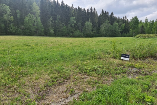 Tomt i Torpshammar, Torps distrikt, Västernorrland, Ånge, Backen 5:66