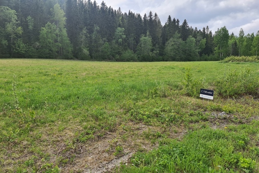 Tomt i Torpshammar, Västernorrland, Ånge, Backen 5:66