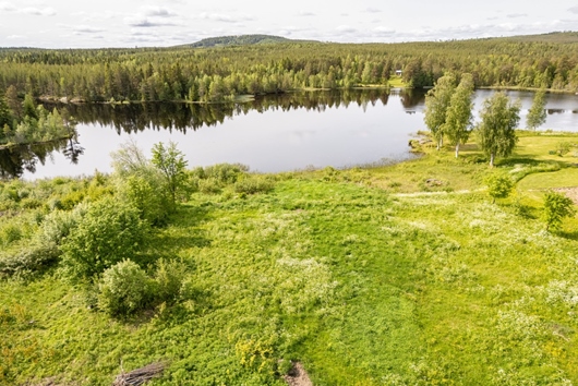 Tomt i Överturingen, Haverö distrikt, Västernorrland, Ånge, null