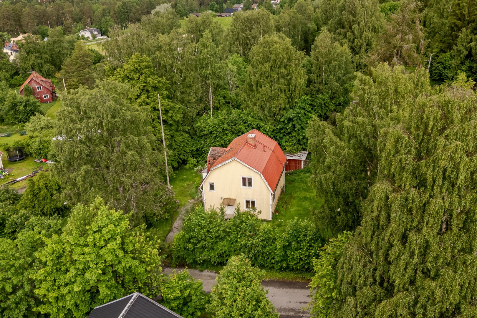 25