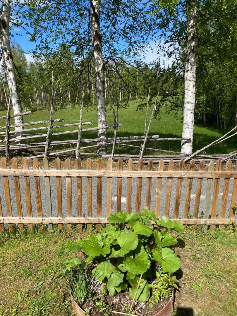 36