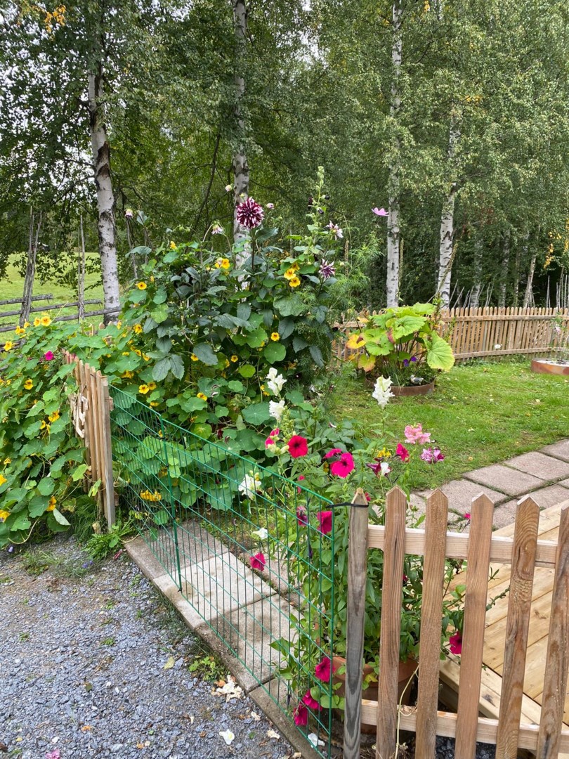 34
