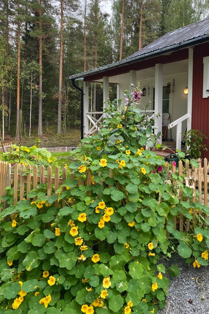 40