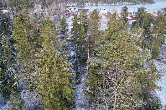 Tomt i Yxlan, Stockholm, Norrtälje, Gamla dansbanevägen 7