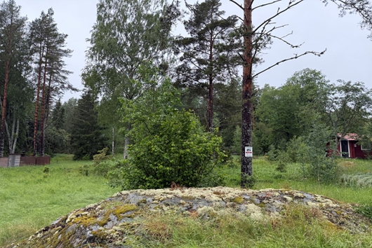Tomt i Herräng, Stockholm, Norrtälje, Nylandets väg 35