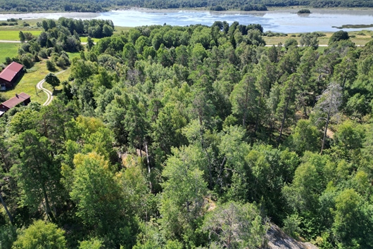 Tomt i Burvik, Knutby, Uppsala, Granens väg 2